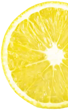 fetta di limone